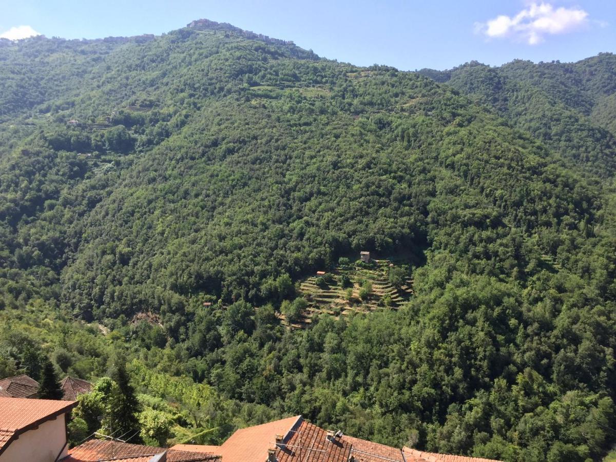 House In The Medieval Village أبريكال المظهر الخارجي الصورة
