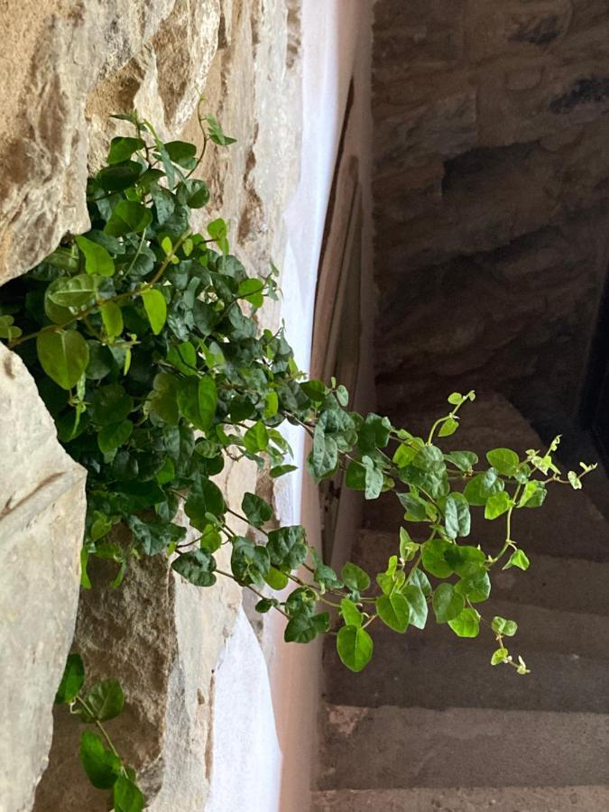 House In The Medieval Village أبريكال المظهر الخارجي الصورة